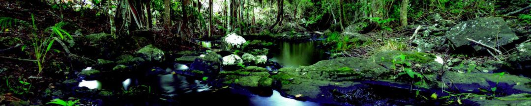 About Byron Private Treatment Centre About Byron Private Treatment Centre